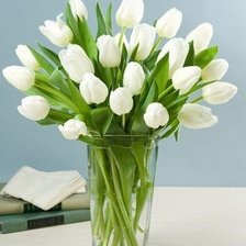 Схема вышивки «Тюльпаны»