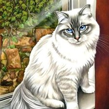 Схема вышивки «Кот»