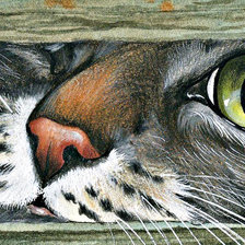 Схема вышивки «№1231824»