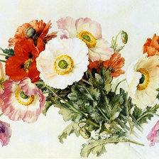 Схема вышивки «Букет маков»