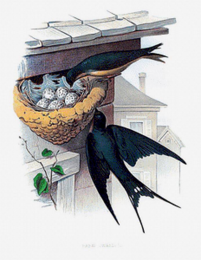 Ласточкино гнездо. - живопись. - предпросмотр