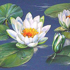 Схема вышивки «Водяные лилии»