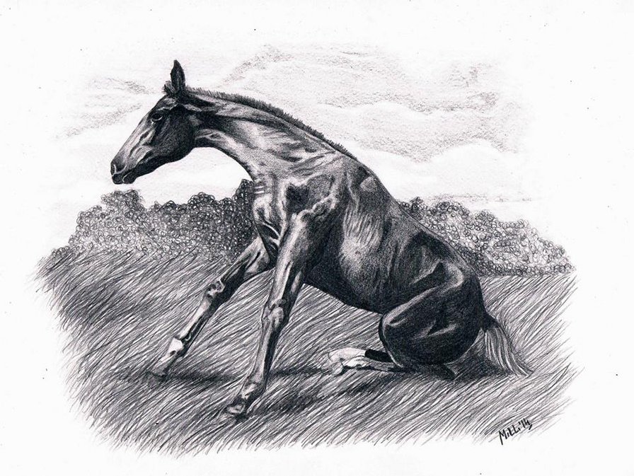 Beauty - beauty - оригинал