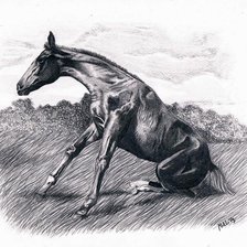 Схема вышивки «Beauty»