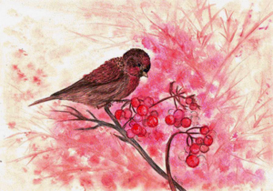 Red bird - red bird - предпросмотр