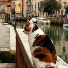 Схема вышивки «cat in venice»