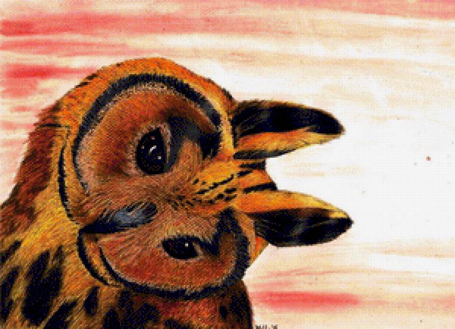 Owl - owl - предпросмотр