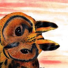 Схема вышивки «Owl»