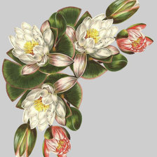 Схема вышивки «Уголок для скатерти»