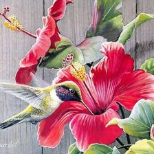 Схема вышивки «hummbird and lilly»