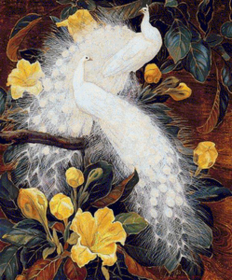 white peacocks - white peacocks - предпросмотр