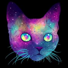 Схема вышивки «colourfull cat»