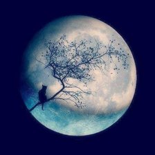 Схема вышивки «cat moon»