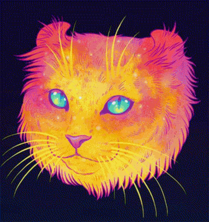 colourfull cat - colourfull cat - предпросмотр