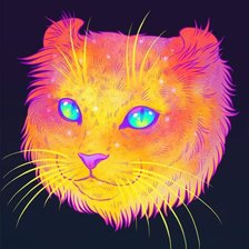 colourfull cat