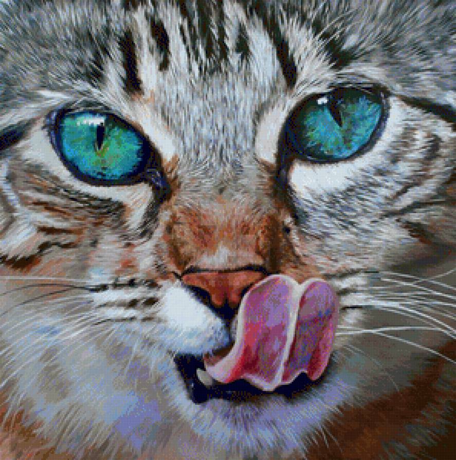 №1232960 - cat - предпросмотр