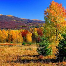 Схема вышивки «№1232961»