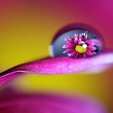 Схема вышивки «waterdrop»