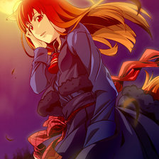 Схема вышивки «spice and wolf»