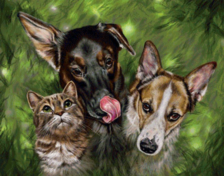 Троица - животные, кот, коты, собаки - предпросмотр