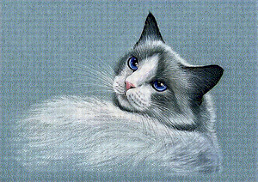 ragdoll - ragdoll - предпросмотр