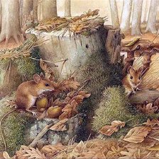 Схема вышивки «in forest»