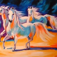 horses