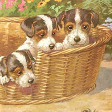 Схема вышивки «Это что за чудо?»