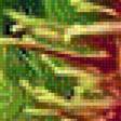 Предпросмотр схемы вышивки «green parrot» (№1233212)