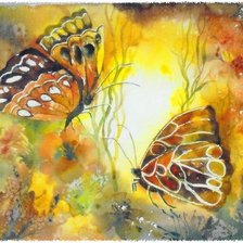 watercolour butterfly