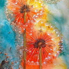 watercolour dandelions