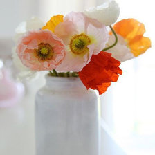 Схема вышивки «anemone»