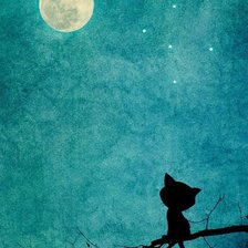moon cat