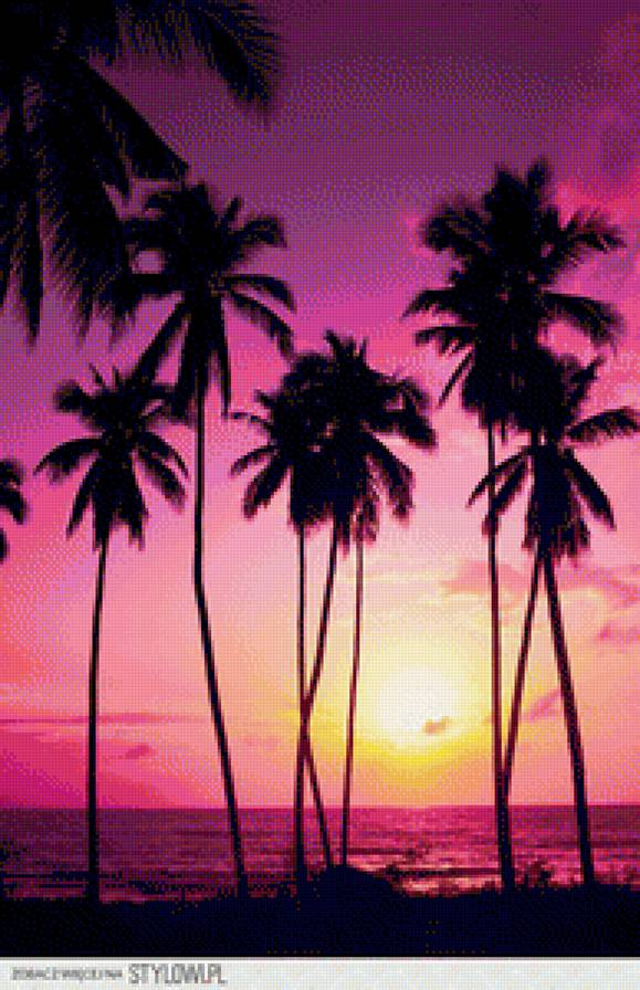 caribbean - caribbean - предпросмотр