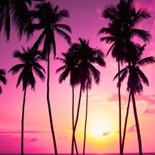 Схема вышивки «caribbean»