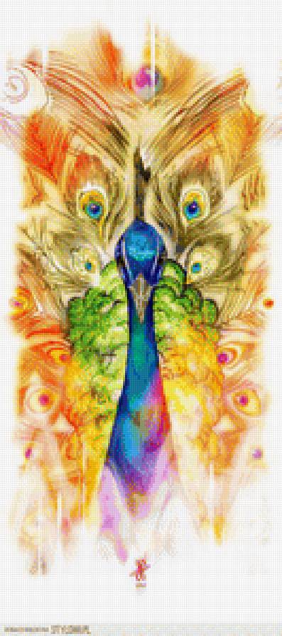 peacock - peacock - предпросмотр