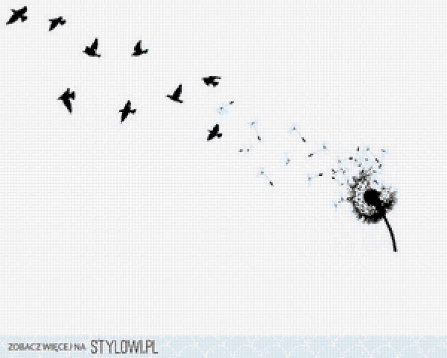 dandelion black and white - dandelion black and white - предпросмотр