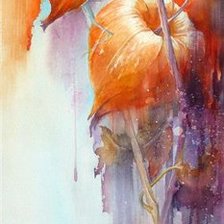 Схема вышивки «miechunka»