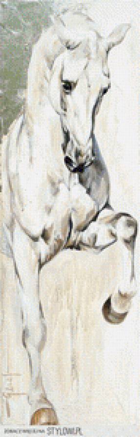 horse - horse - предпросмотр