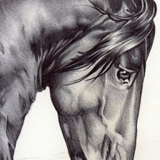 horse