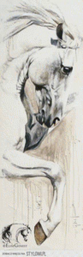 horse - horse - предпросмотр