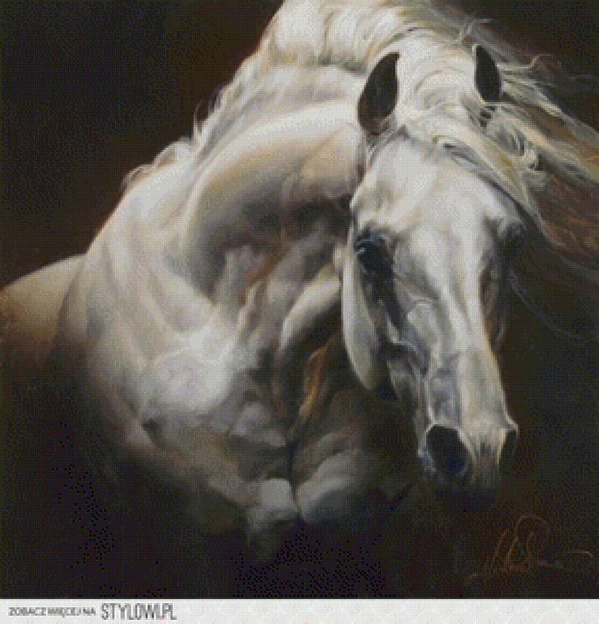 horse - horse - предпросмотр