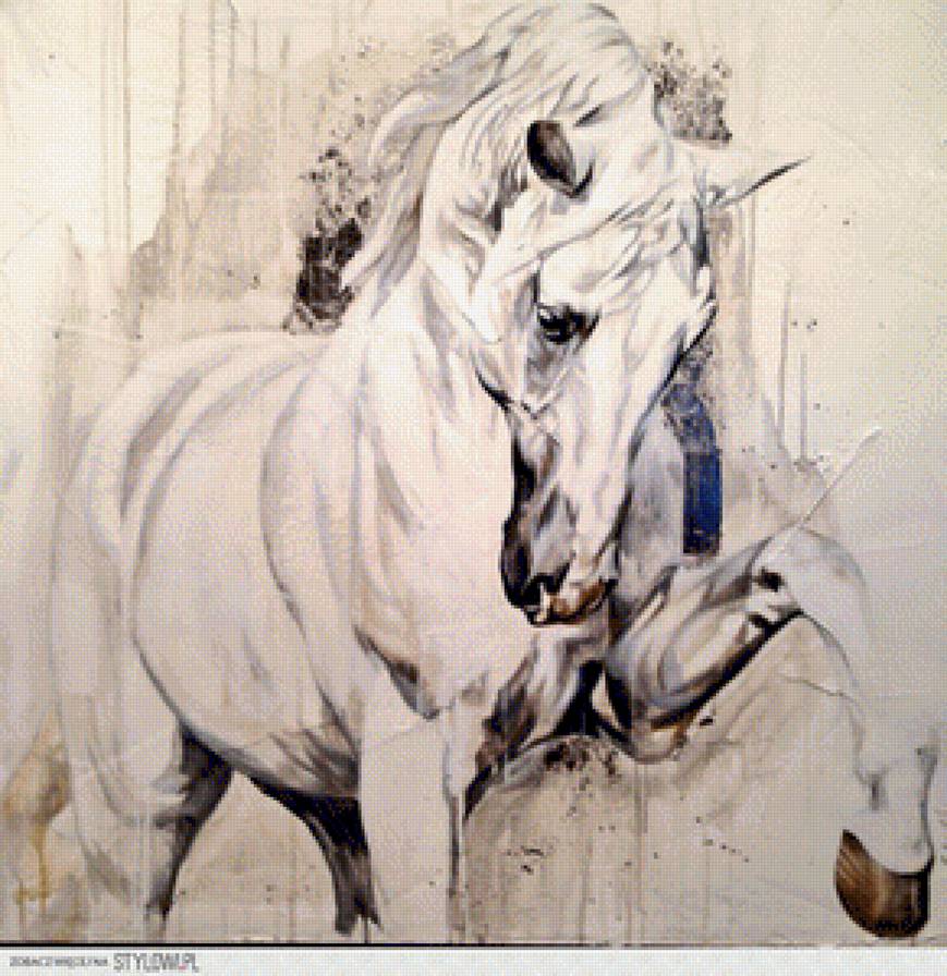 horse - horse - предпросмотр