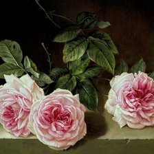 Схема вышивки «№1233486»