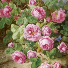 Схема вышивки «№1233564»