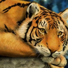 Схема вышивки «Дикие хищные кошки»