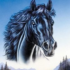 Схема вышивки «конь»