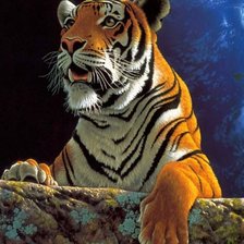 Схема вышивки «Дикие хищные кошки»