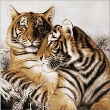 Схема вышивки «ТИГРУЛИ»