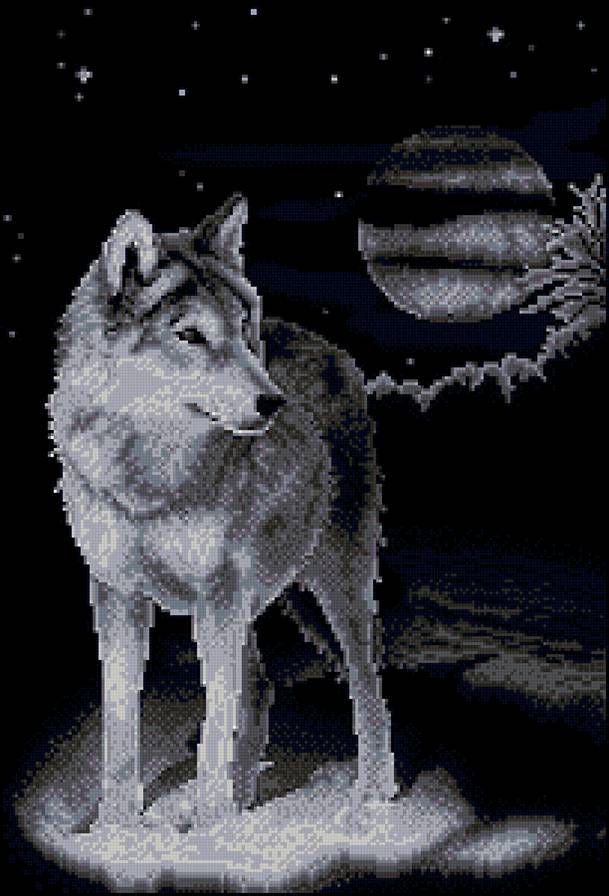 белый волк панна - белый, волк - предпросмотр